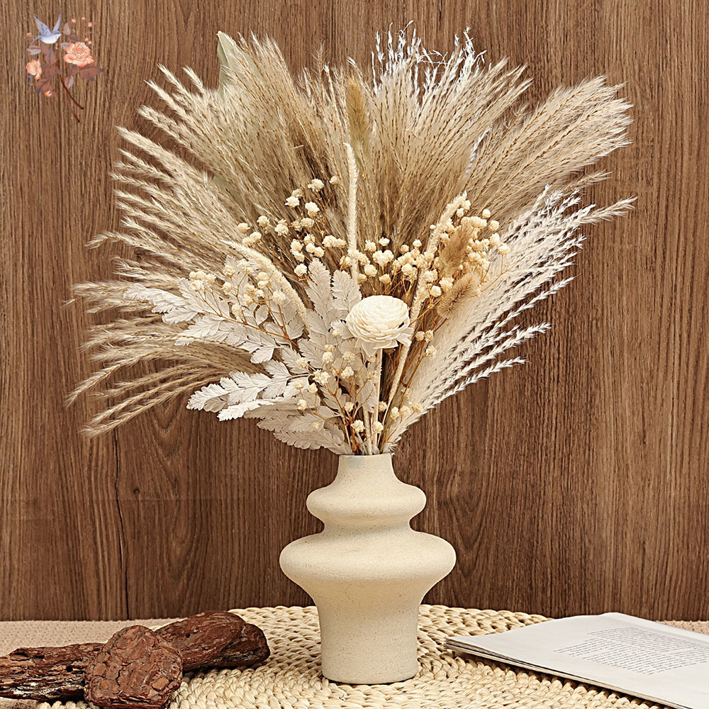 Dried Pampas Bundle - 40 Buah Bundel Daun Palem Buluh