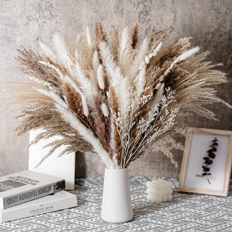 Dried Pampas Bundle - 50-105pcs Rangkaian Bunga Kering Campuran Gaya