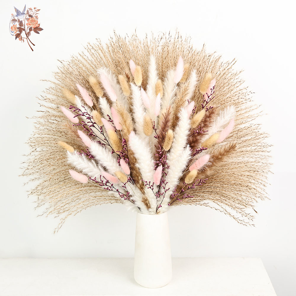 Dried Pampas Bundle - Rumput Ekor Kelinci Pampas Berbulu Halus,