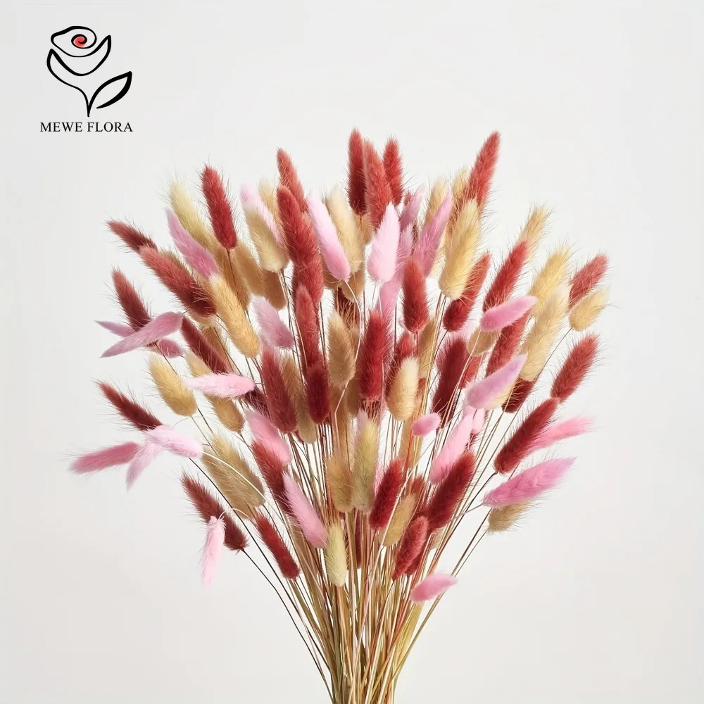 Dried Pampas Bundle - 90 Buah Set Bundel Rumput Pampas