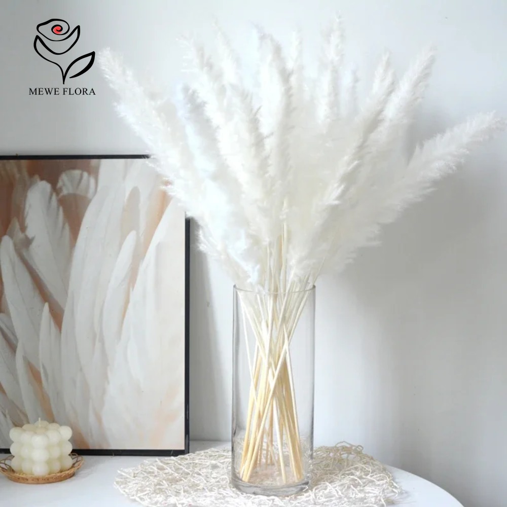 Dried Pampas Bundle - 20pcs Rumput Pampas Berbulu Kering, Buket