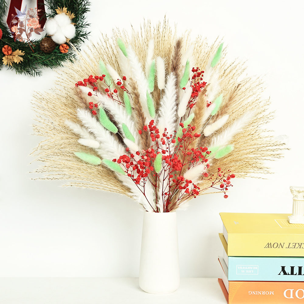 Dried Pampas Bundle - 70 Tangkai Rumput Pampas Hijau Merah