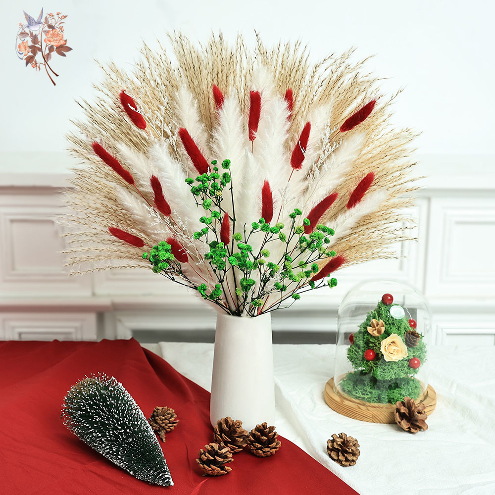Dried Pampas Bundle - 55 pcs Buket Bunga Kering Dekorasi
