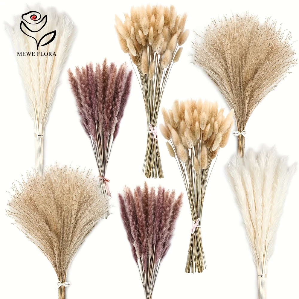 Dried Pampas Bundle - 200 buah Pampas ekor kelinci kering