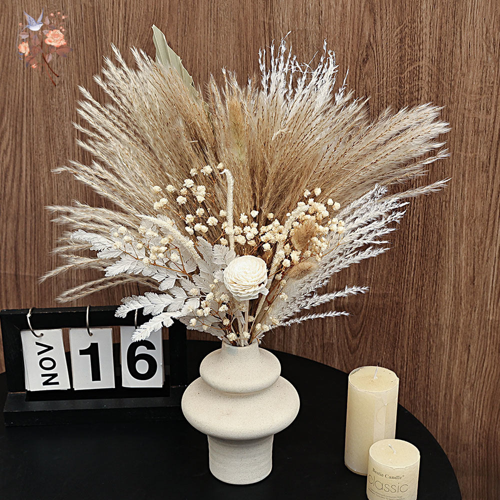 40 Buah Bundel Daun Palem Bulu - Dried Pampas Bundle ulasan dan harga