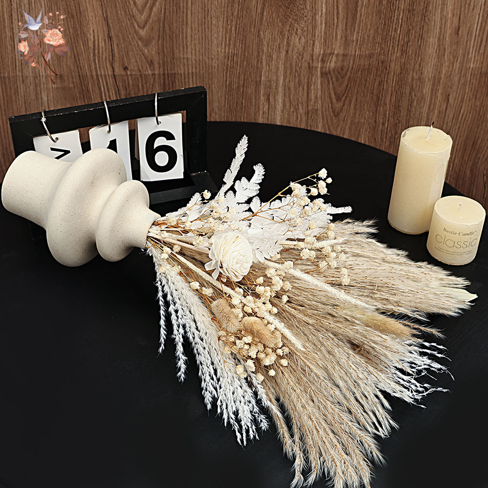 40 Buah Bundel Daun Palem Bulu - Dried Pampas Bundle ulasan dan harga