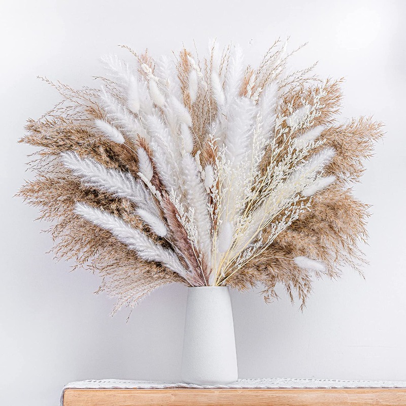 50-105pcs Rangkaian Bunga Keri - Dried Pampas Bundle ulasan dan harga
