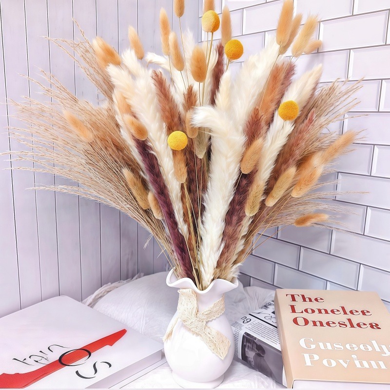 50-105pcs Rangkaian Bunga Keri - Dried Pampas Bundle ulasan dan harga