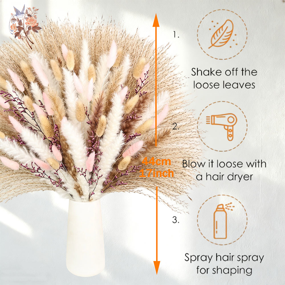 Rumput Ekor Kelinci Pampas Ber - Dried Pampas Bundle ulasan dan harga