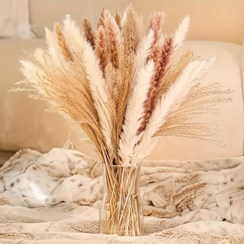 110 Buah Rangkaian Bunga Kerin - Dried Pampas Bundle ulasan dan harga