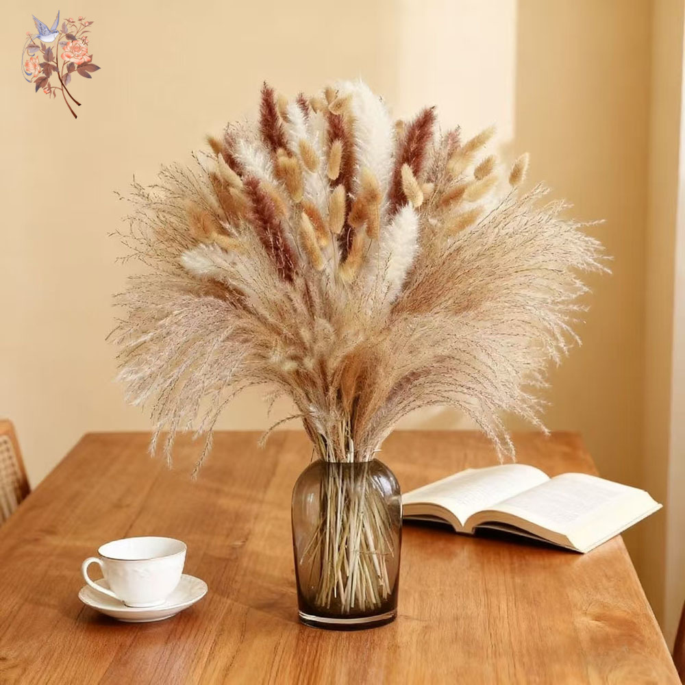 Buket Bunga Kering Alami Campu - Dried Pampas Bundle ulasan dan harga