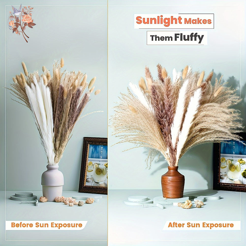 Buket Bunga Kering Alami Campu - Dried Pampas Bundle ulasan dan harga