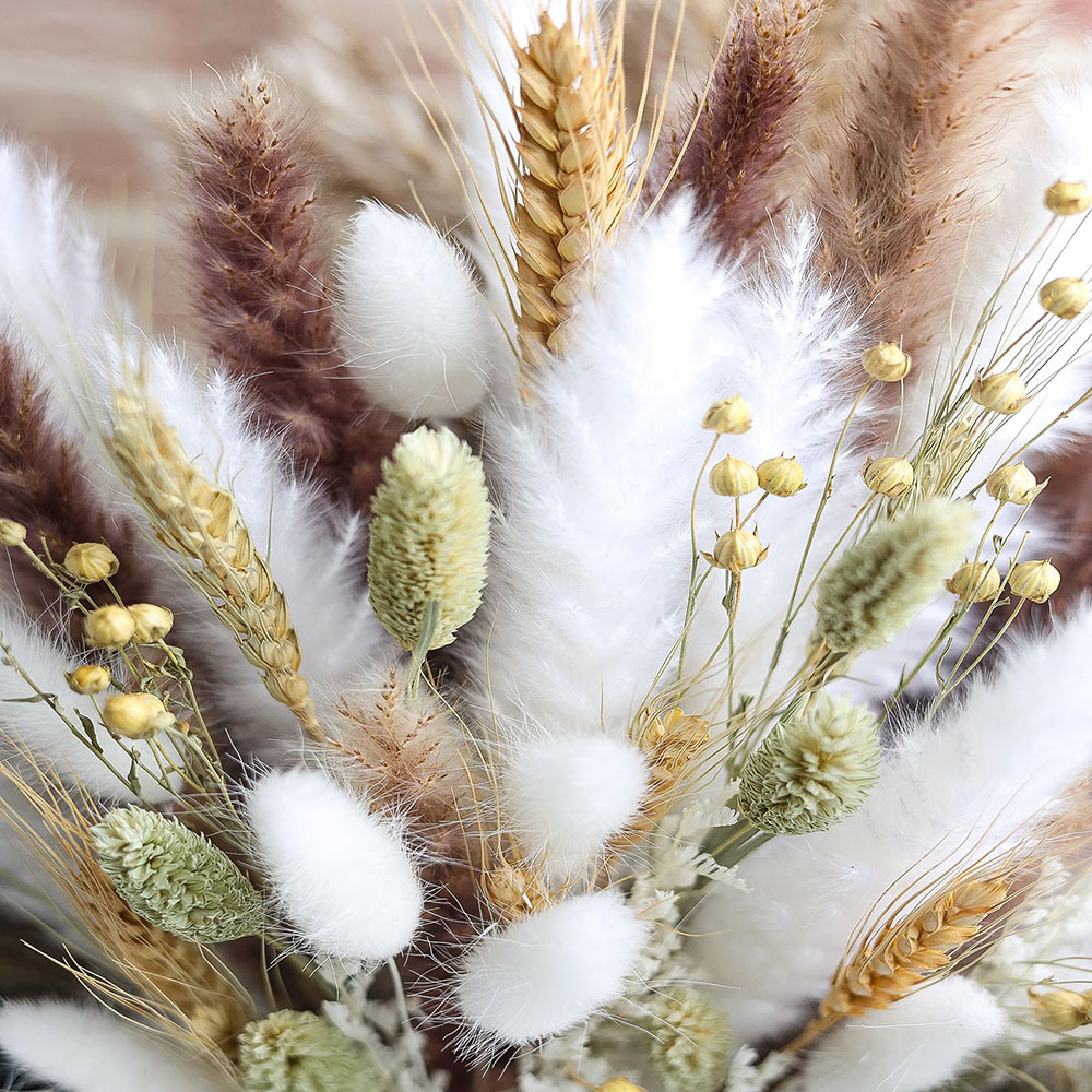 100 pcs Buket Rumput Pampas Ke - Dried Pampas Bundle ulasan dan harga