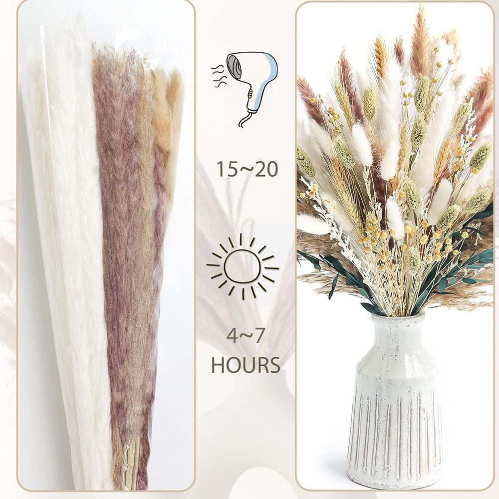 100 pcs Buket Rumput Pampas Ke - Dried Pampas Bundle ulasan dan harga