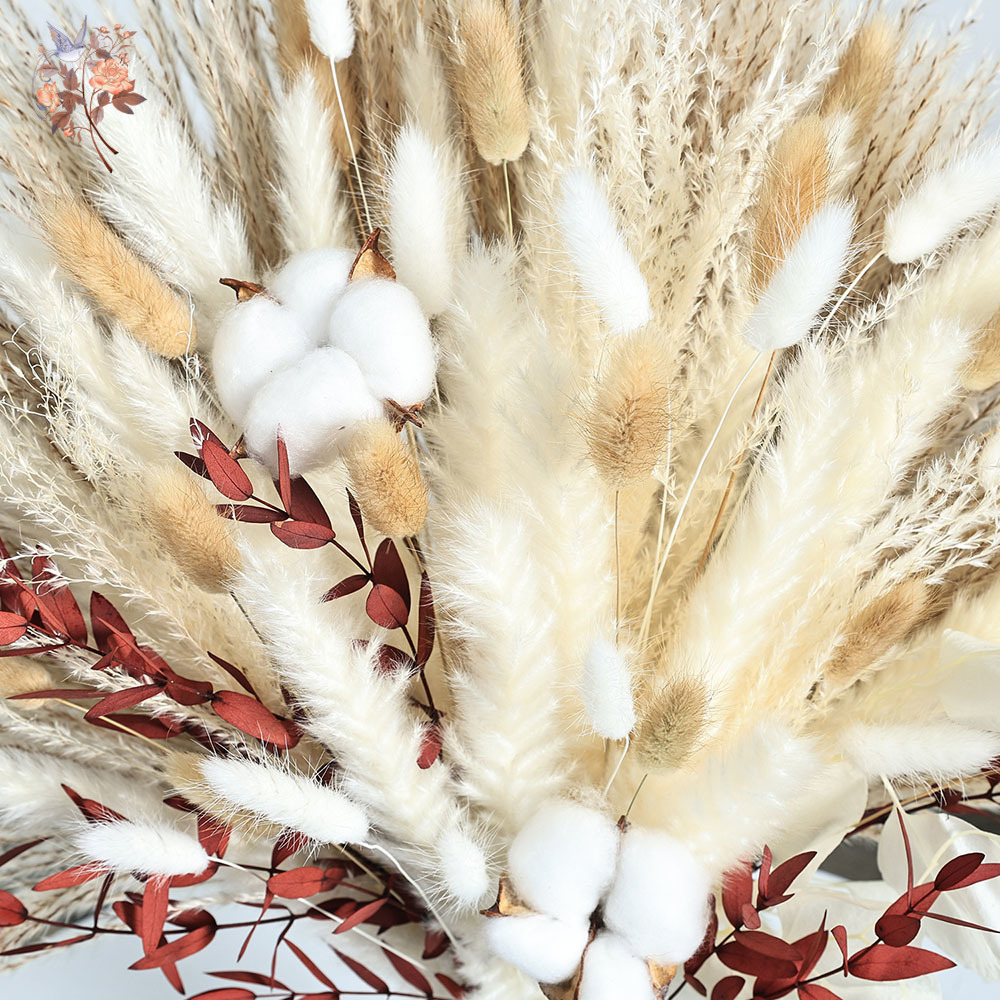 70pcs Buket Bunga Pampas Kerin - Dried Pampas Bundle ulasan dan harga