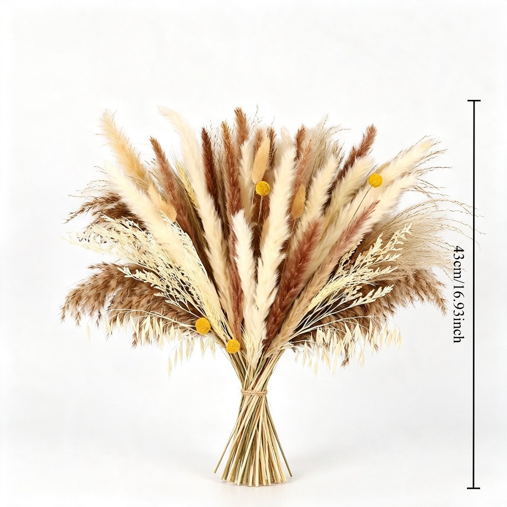 Buket Bunga Kering Campuran Al - Dried Pampas Bundle ulasan dan harga
