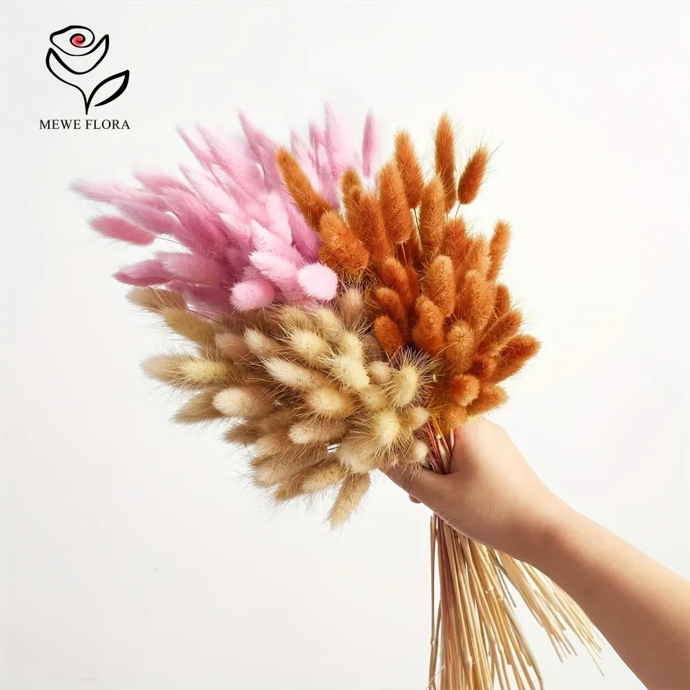 90 Buah Set Bundel Rumput Pamp - Dried Pampas Bundle ulasan dan harga