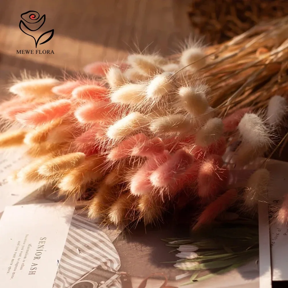 90 Buah Set Bundel Rumput Pamp - Dried Pampas Bundle ulasan dan harga