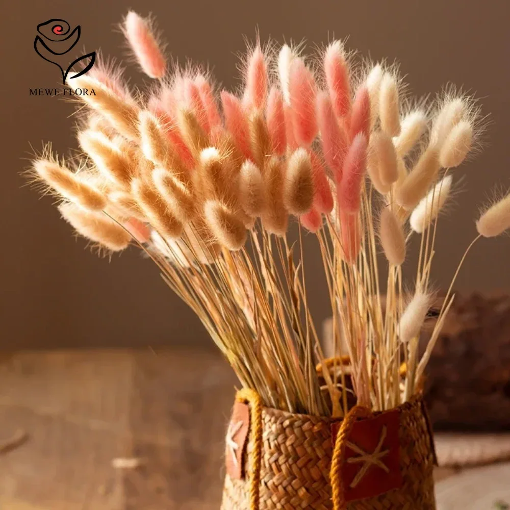 90 Buah Set Bundel Rumput Pamp - Dried Pampas Bundle ulasan dan harga