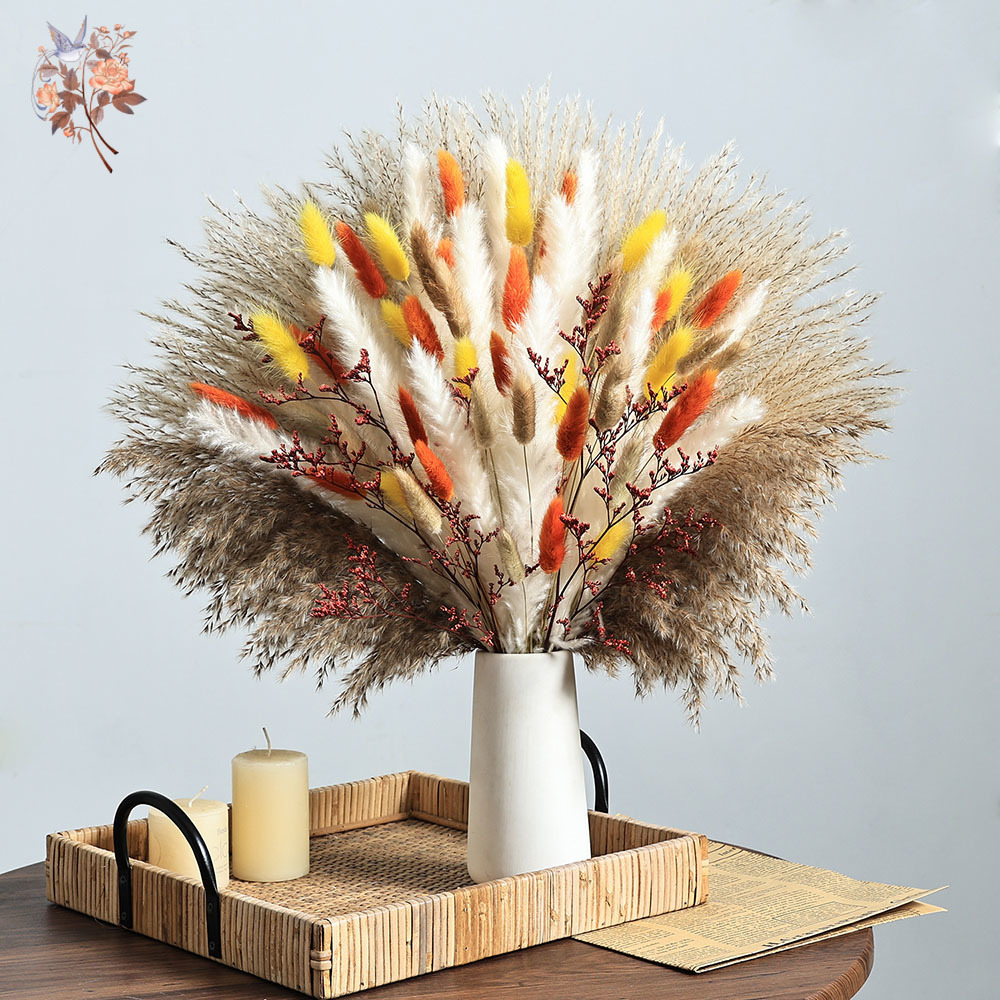 85 Buah Bundel Rumput Pampas M - Dried Pampas Bundle ulasan dan harga
