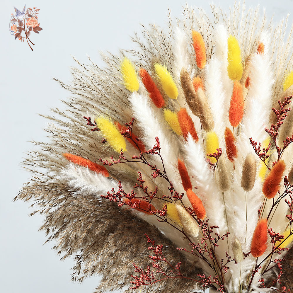 85 Buah Bundel Rumput Pampas M - Dried Pampas Bundle ulasan dan harga