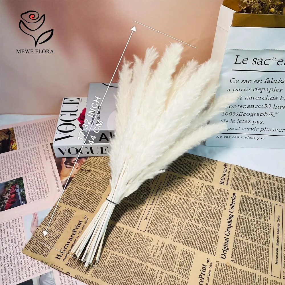 20pcs Rumput Pampas Berbulu Ke - Dried Pampas Bundle ulasan dan harga