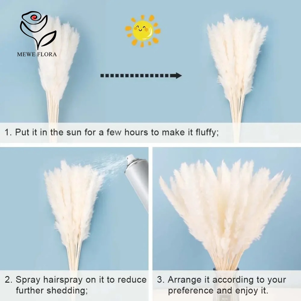 20pcs Rumput Pampas Berbulu Ke - Dried Pampas Bundle ulasan dan harga