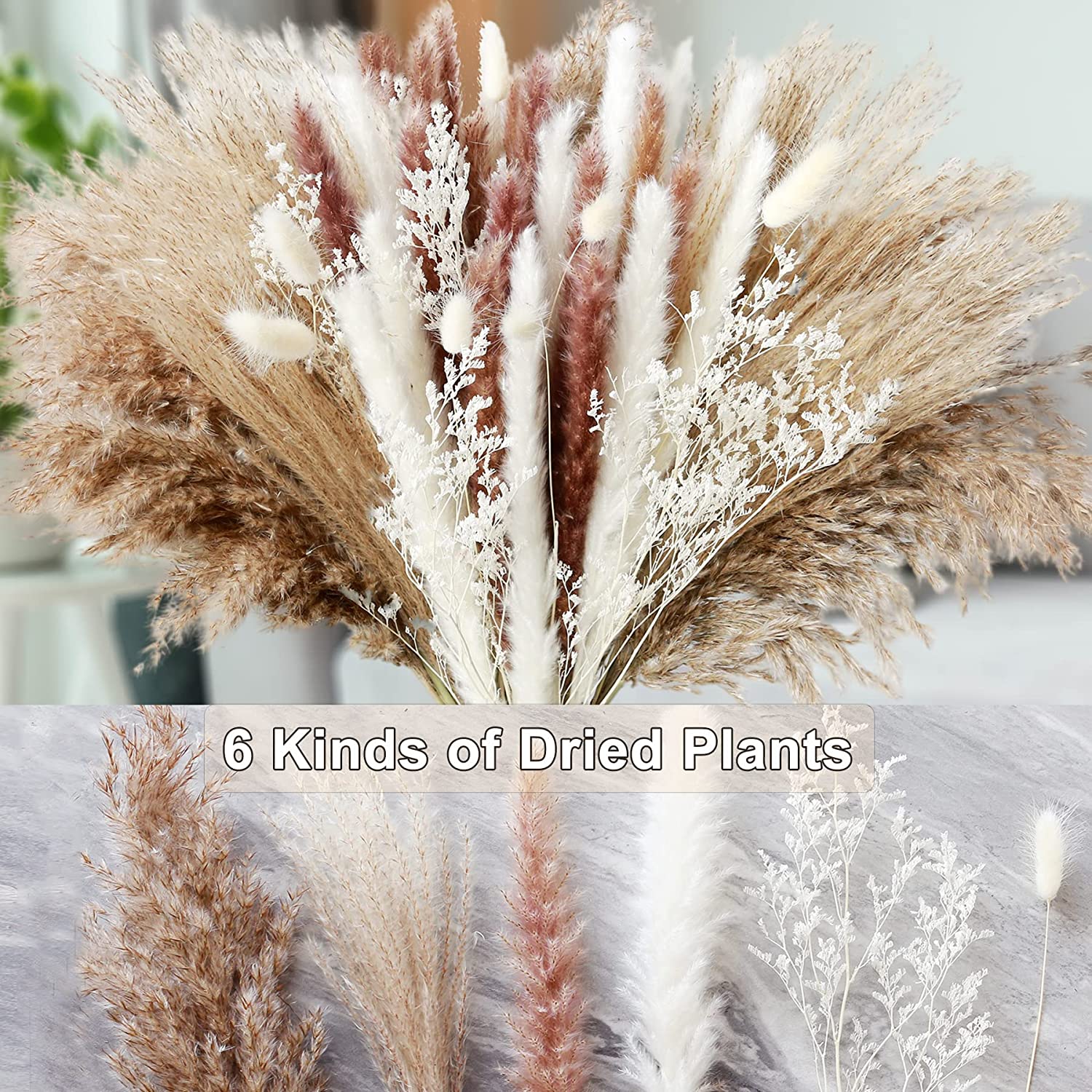 Dekorasi Meja Rumah Tanaman Ke - Dried Pampas Bundle ulasan dan harga