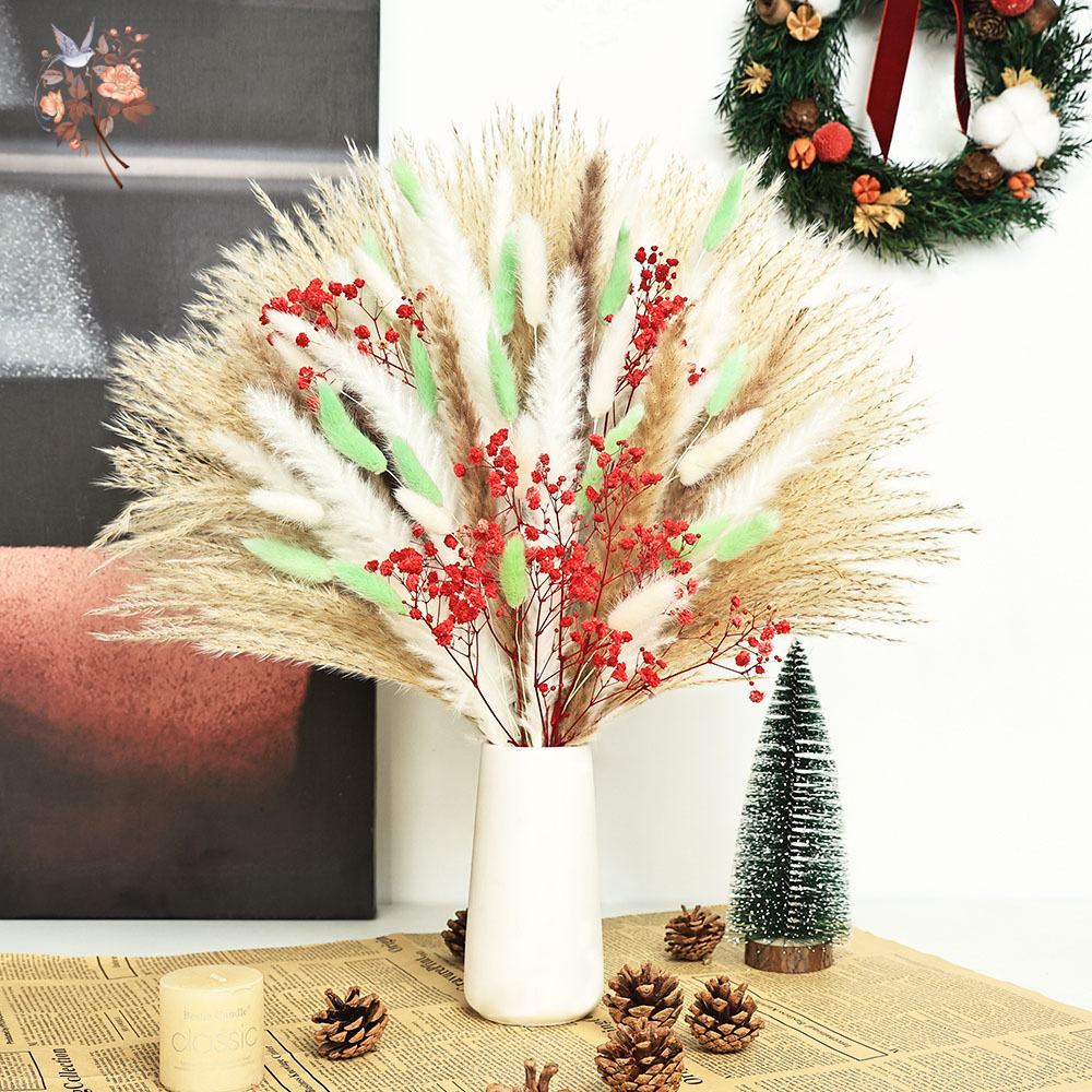70 Tangkai Rumput Pampas Hijau - Dried Pampas Bundle ulasan dan harga