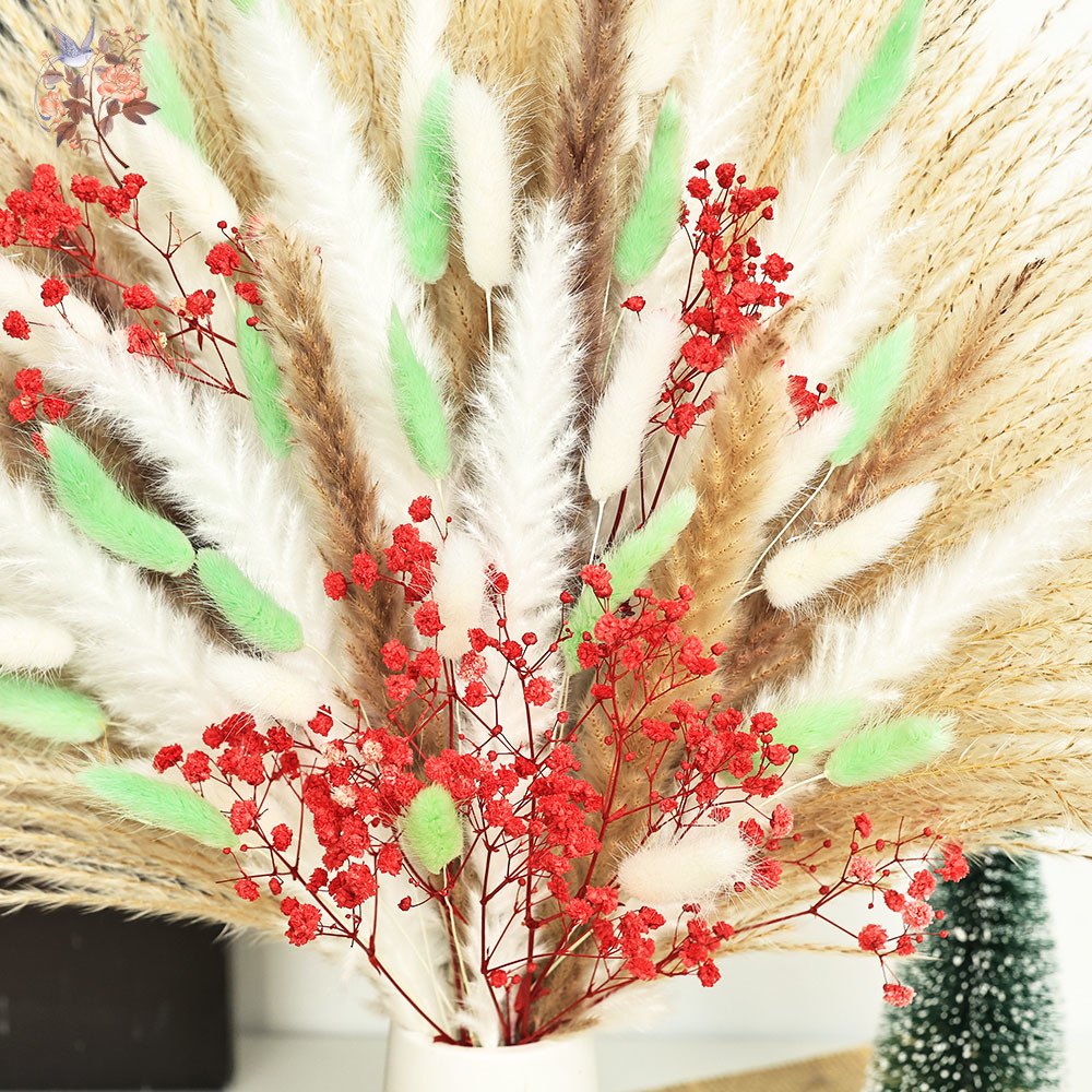 70 Tangkai Rumput Pampas Hijau - Dried Pampas Bundle ulasan dan harga
