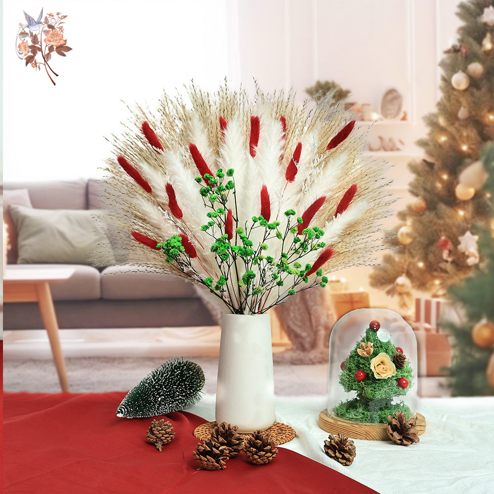 55 pcs Buket Bunga Kering Deko - Dried Pampas Bundle ulasan dan harga