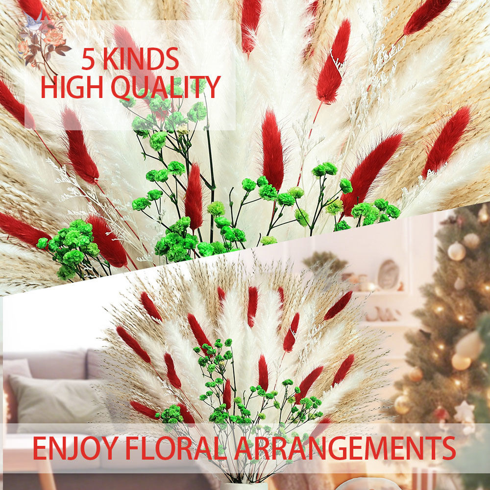 55 pcs Buket Bunga Kering Deko - Dried Pampas Bundle ulasan dan harga