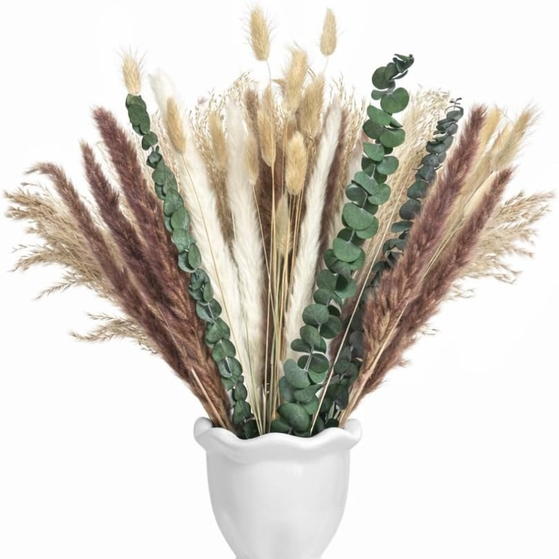 65Pcs DIY Bunga Kering Alami B - Dried Pampas Bundle ulasan dan harga