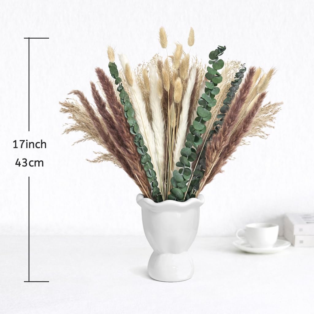 65Pcs DIY Bunga Kering Alami B - Dried Pampas Bundle ulasan dan harga