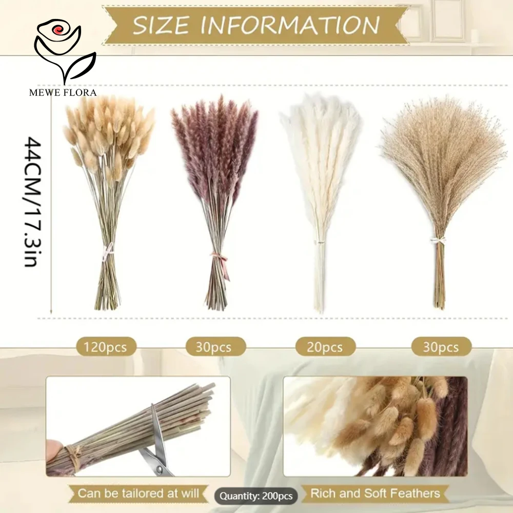 200 buah Pampas ekor kelinci k - Dried Pampas Bundle ulasan dan harga